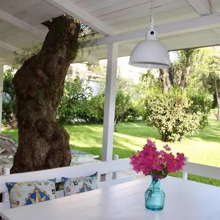 Enza Bellissima Con Piscina Villa Terrasini