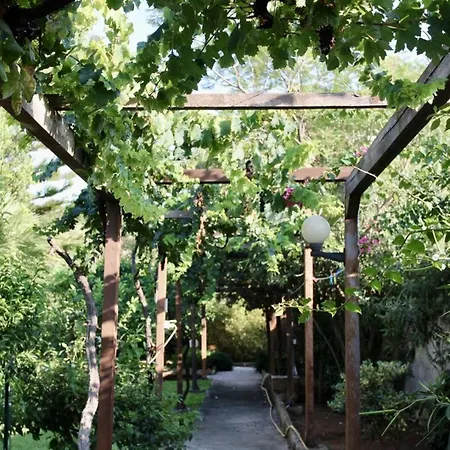 Enza Bellissima Con Piscina Villa *
