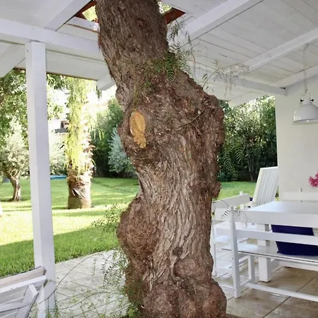 ヴィラ Enza Bellissima Con Piscina *